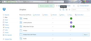 screen shot of dropbox folders